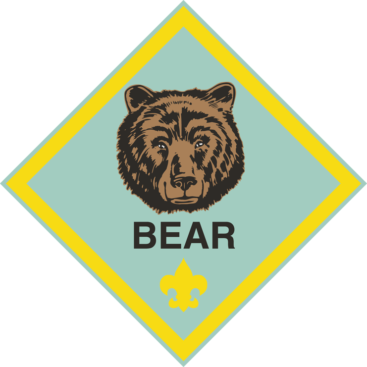 Bear Cub